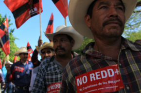 Anti-REDD demonstrators at COP16, Mexico